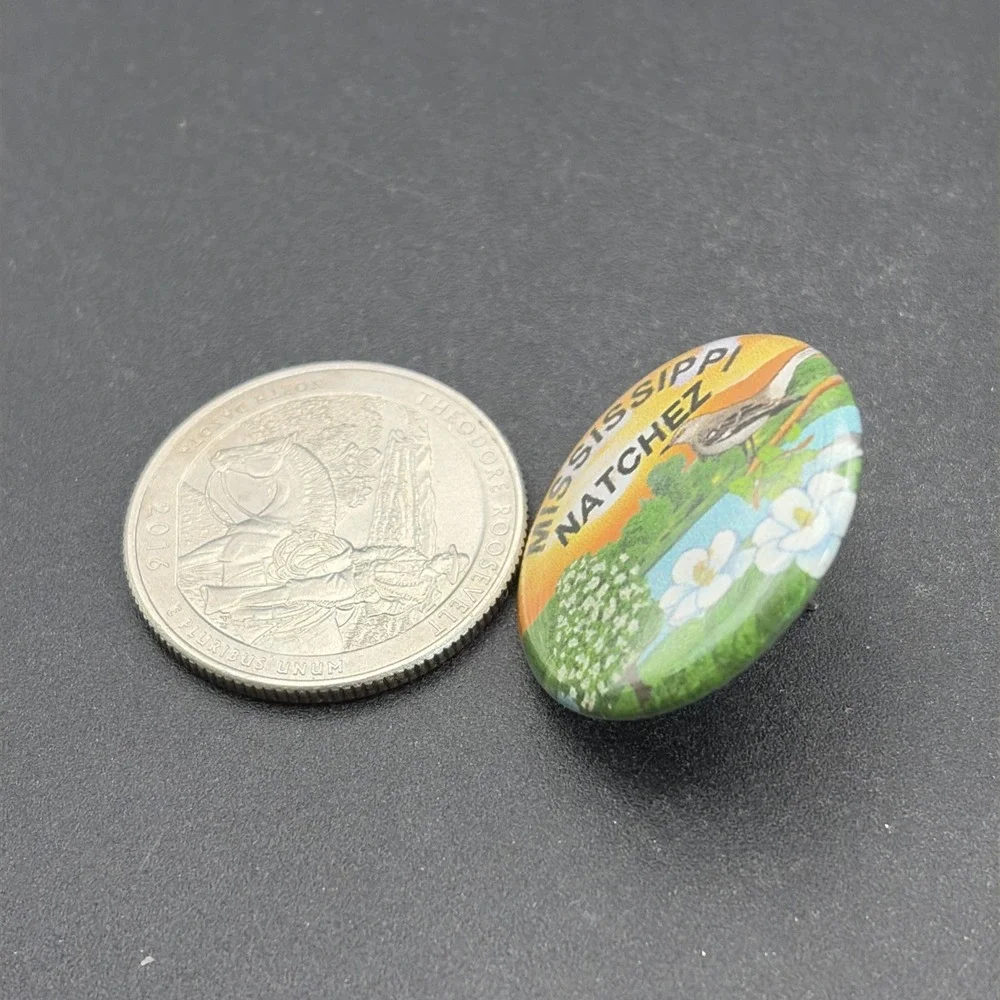State Of Mississippi Natchez USA‎ Plastic Button Pin